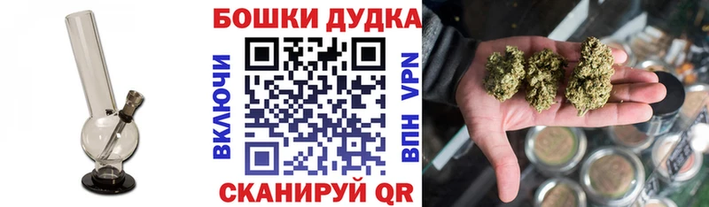 Шишки марихуана Ganja  Купить закладки  Ардатов 